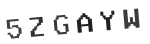 Verification Code Image